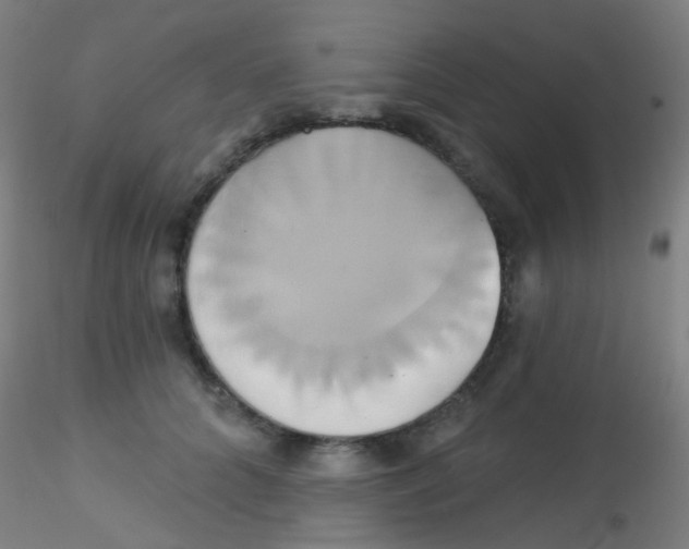 X0000115170704200911251334