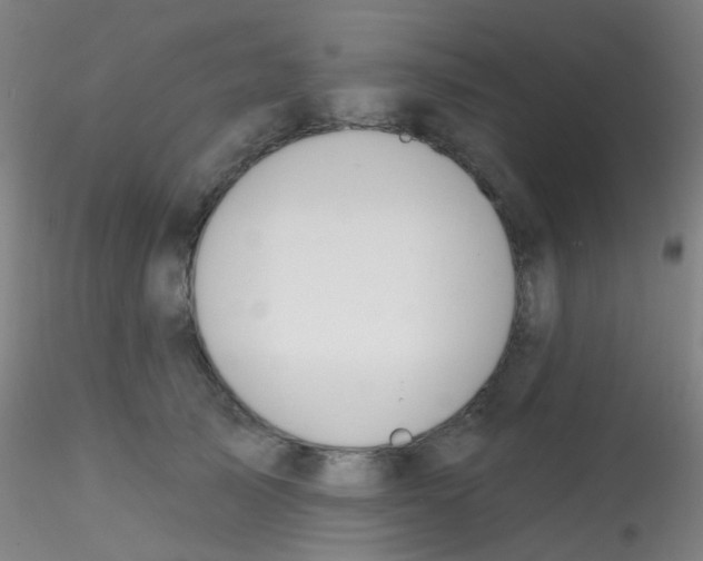 X0000115170705200911251334