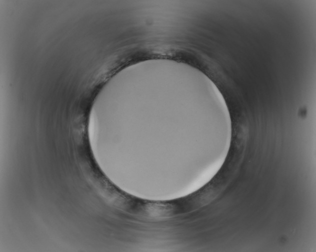 X0000115170707200911251334