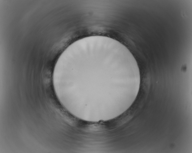 X0000115170708200911251334