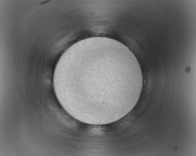 X0000115170710200911251334