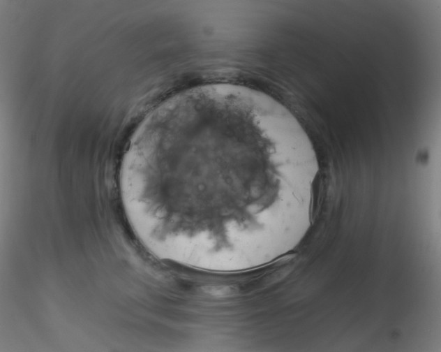 X0000115170711200911251334