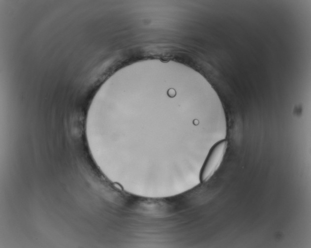 X0000115170712200911251334