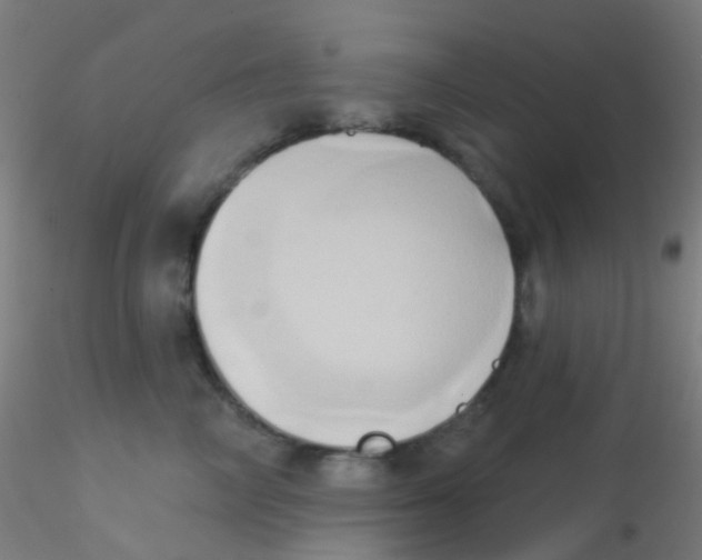 X0000115170714200911251334