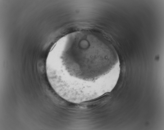 X0000115170715200911251334