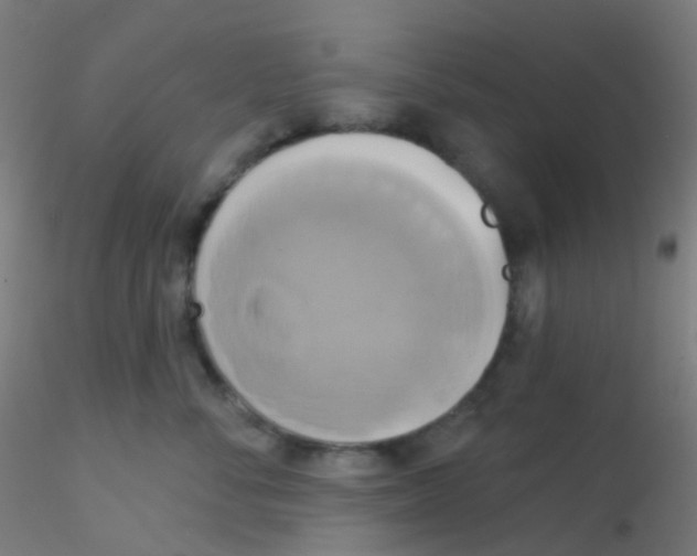 X0000115170716200911251334