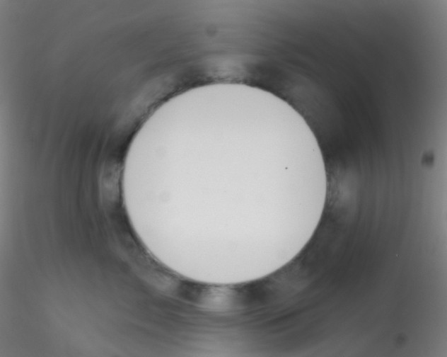 X0000115170717200911251334