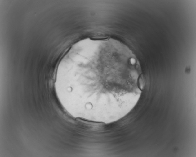 X0000115170719200911251334