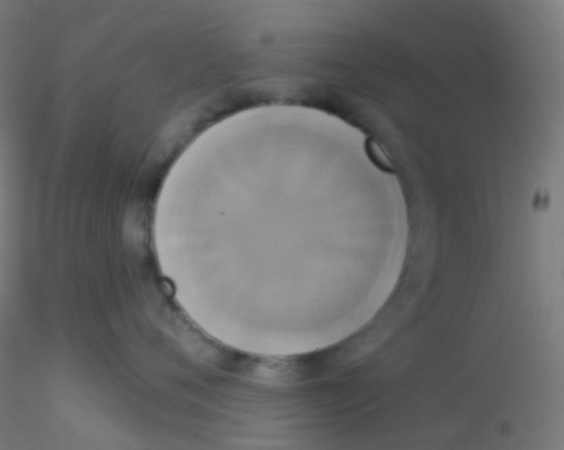 X0000115170720200911251334