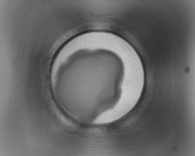 X0000115170721200911251333