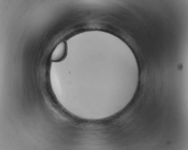 X0000115170722200911251333