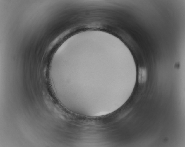 X0000115170723200911251333