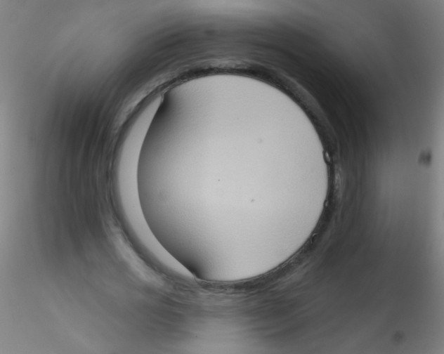 X0000115170725200911251333