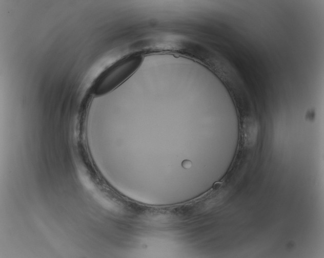 X0000115170726200911251333