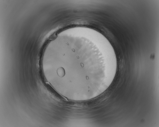 X0000115170727200911251333