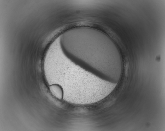 X0000115170729200911251333