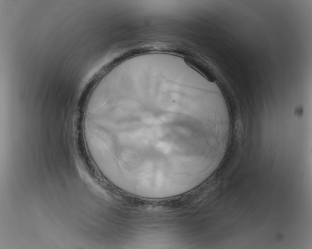 X0000115170730200911251333