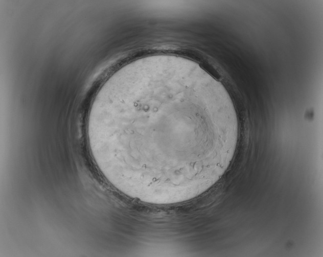 X0000115170731200911251333