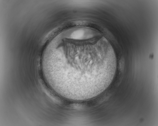 X0000115170733200911251333