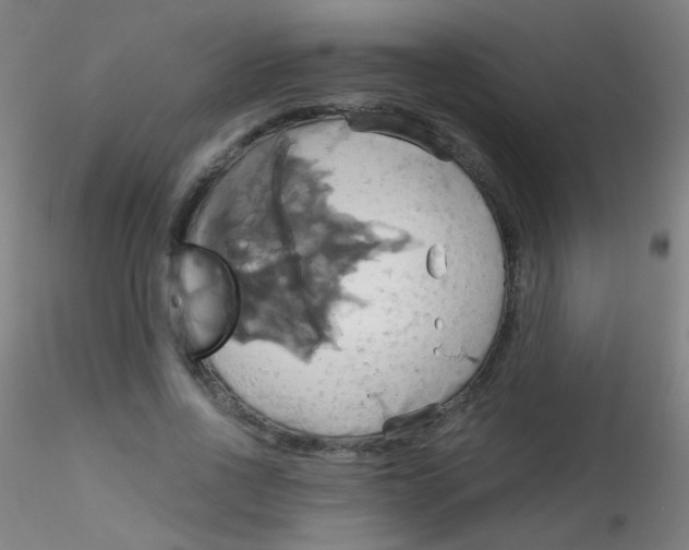 X0000115170734200911251333