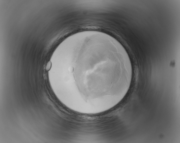 X0000115170735200911251333