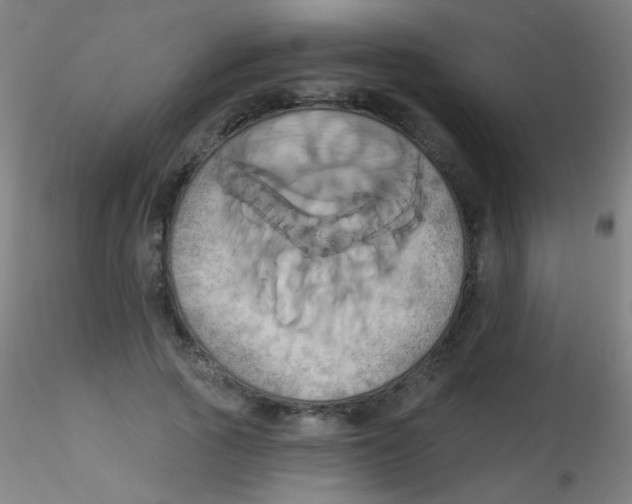 X0000115170737200911251333