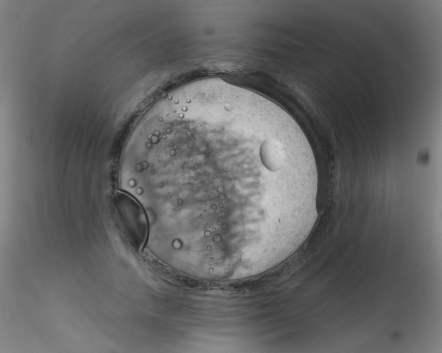 X0000115170738200911251333