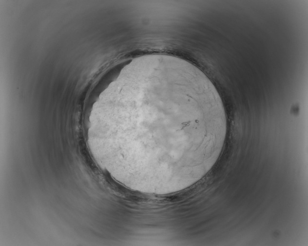 X0000115170739200911251333