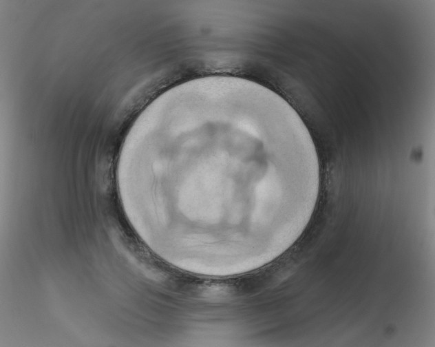 X0000115170741200911251333