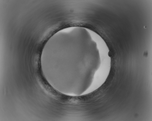 X0000115170742200911251333