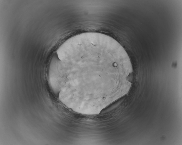 X0000115170743200911251333