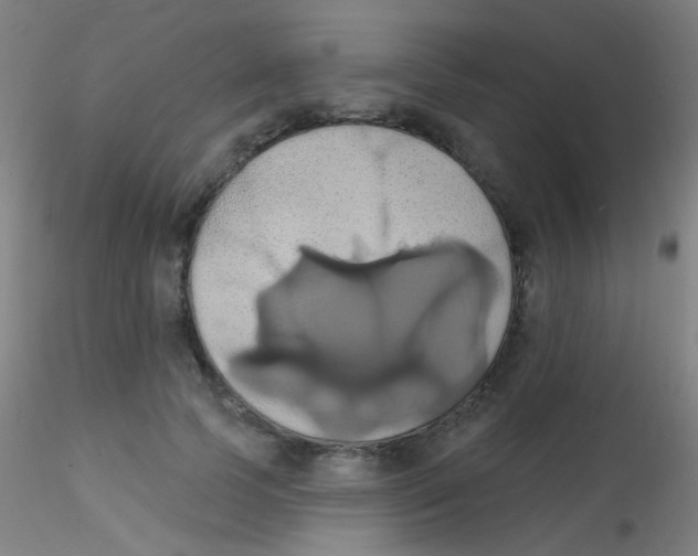 X0000115170745200911251333