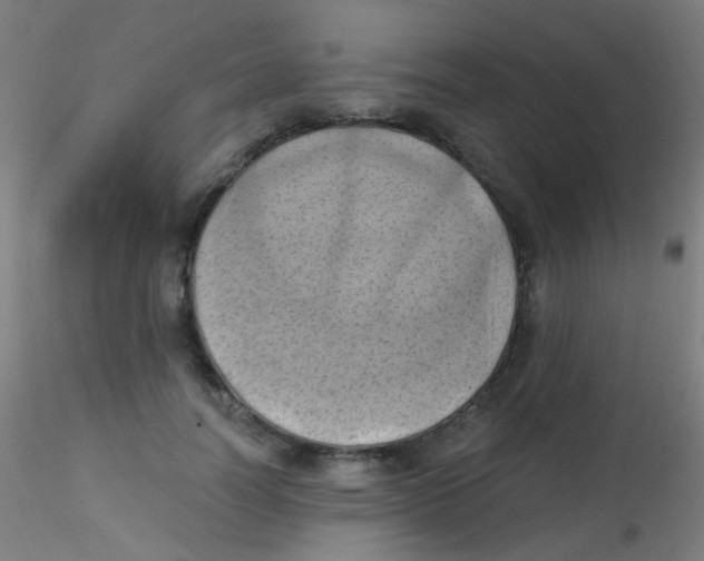 X0000115170746200911251334