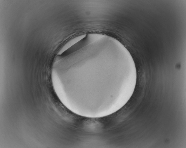 X0000115170747200911251334