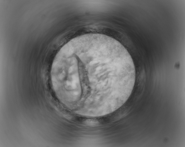 X0000115170749200911251334