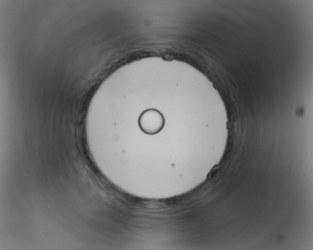 X0000115170750200911251334