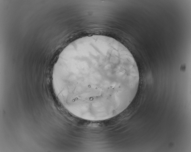 X0000115170751200911251334