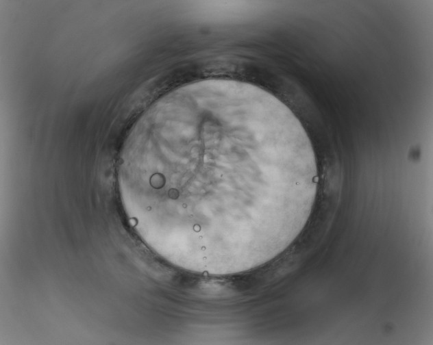 X0000115170753200911251334