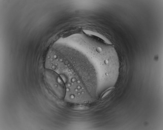 X0000115170754200911251334