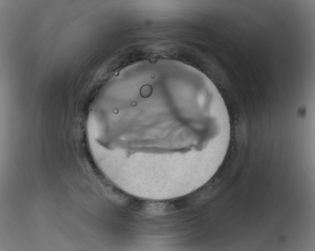 X0000115170757200911251334