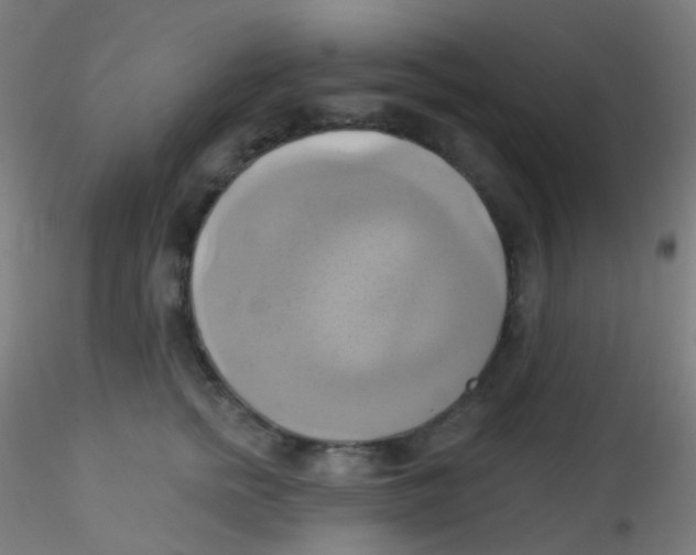 X0000115170758200911251334