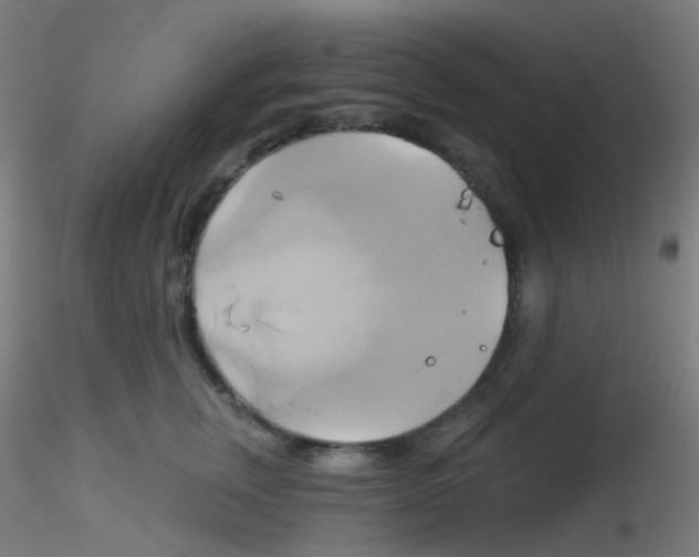 X0000115170759200911251334