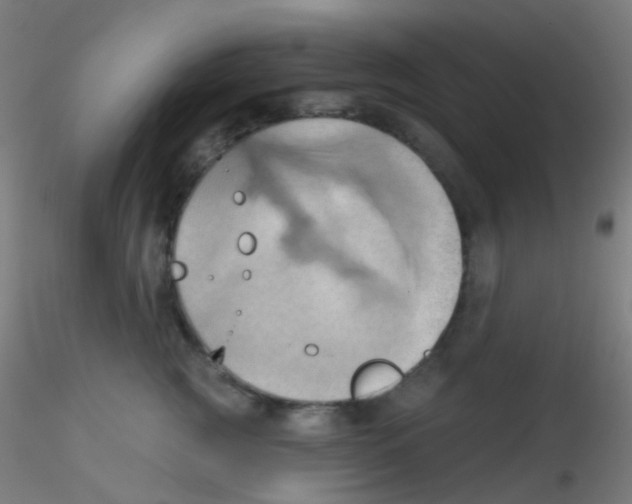 X0000115170761200911251334