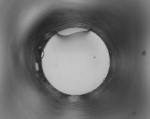 X0000115170762200911251334