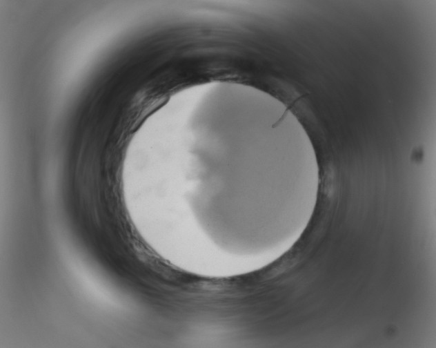 X0000115170763200911251334