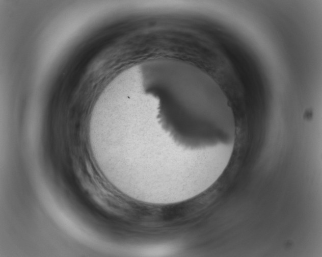 X0000115170765200911251334