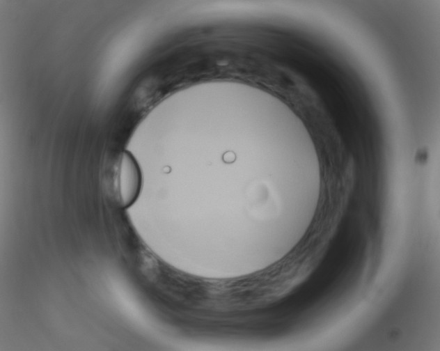 X0000115170766200911251334