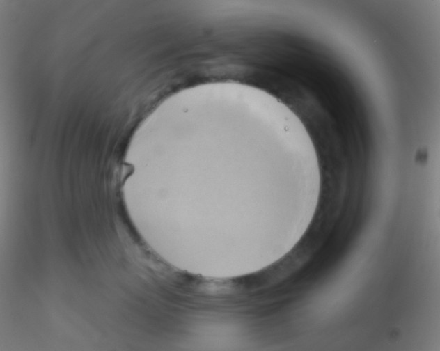 X0000115170767200911251334