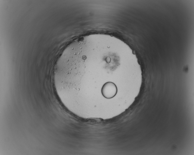 X0000115170769200911251333