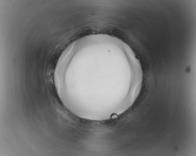 X0000115170770200911251333